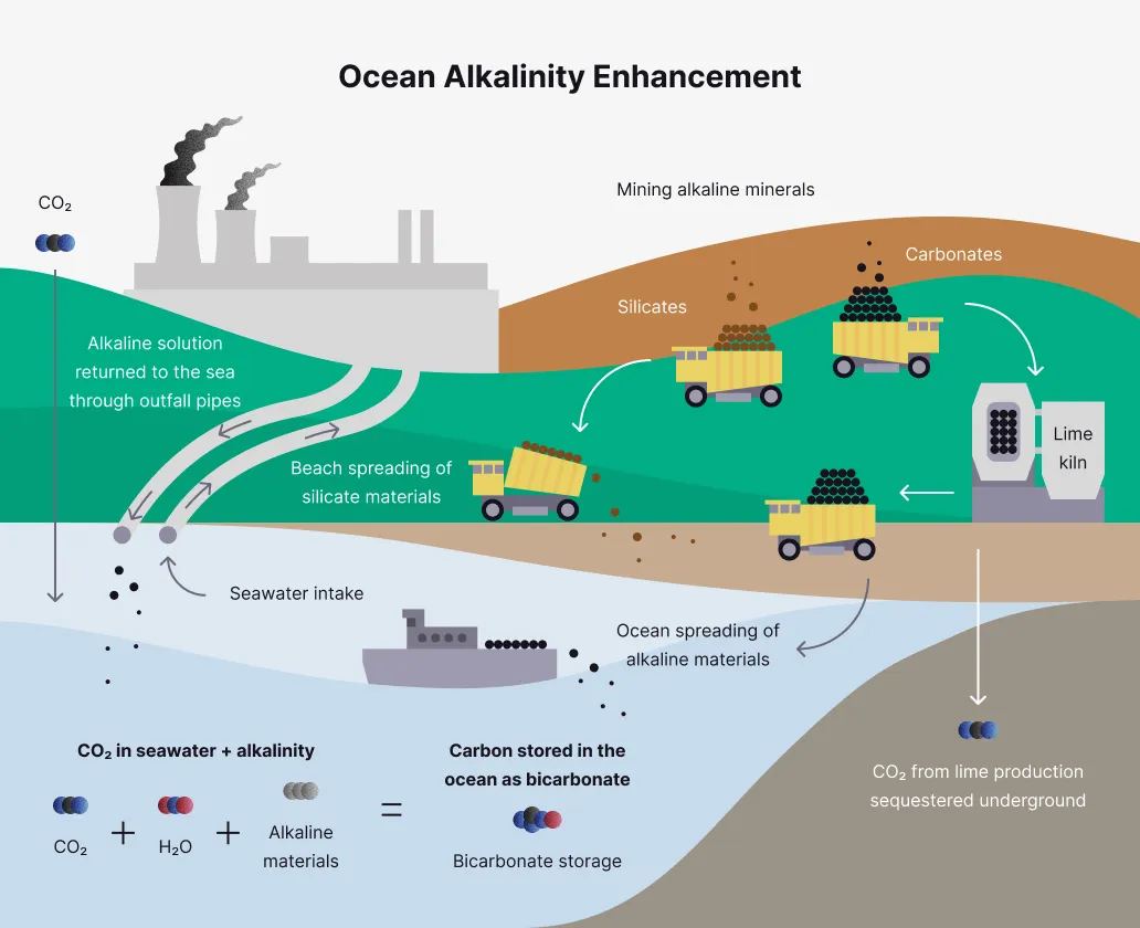 CDR purchases growth