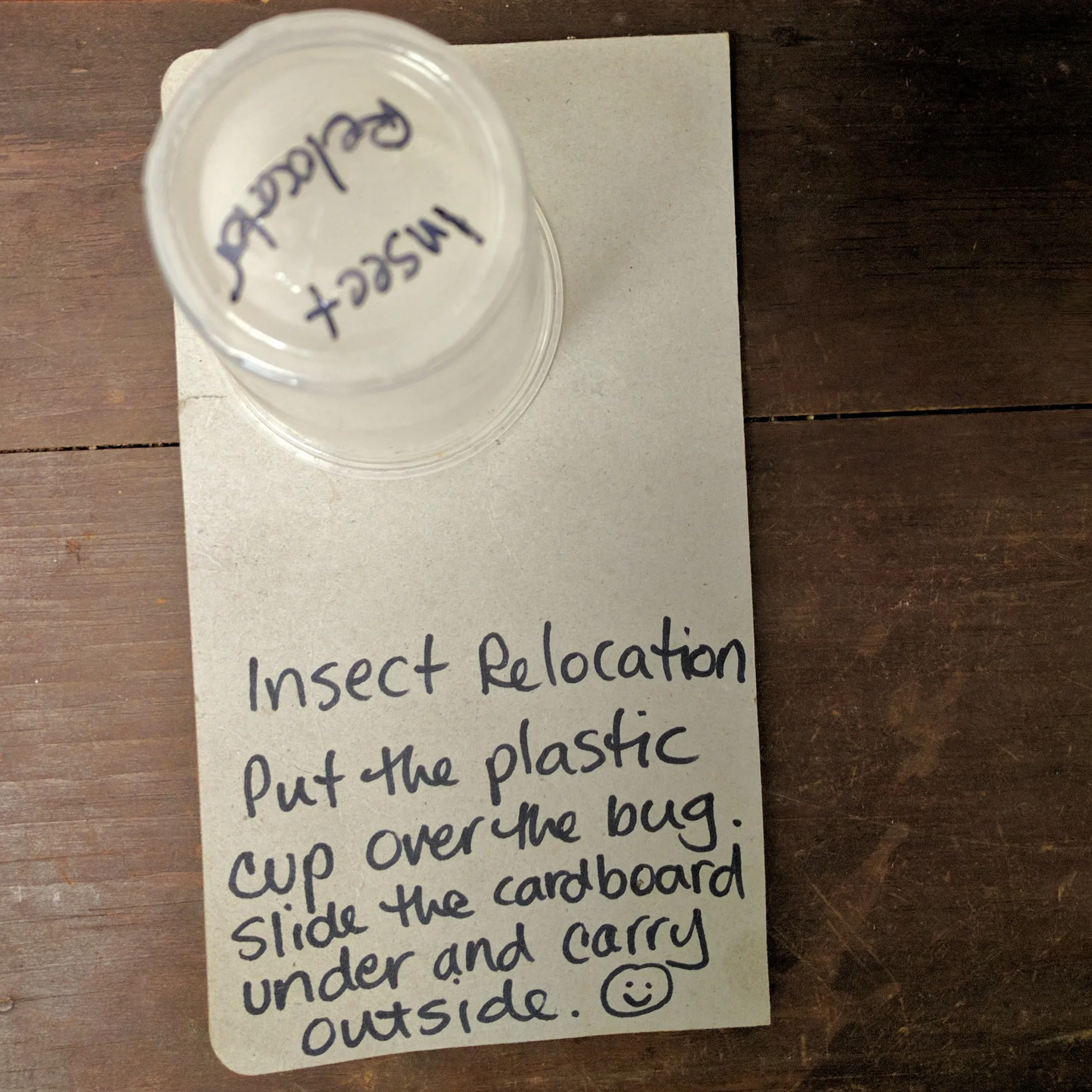 The insect relocator, patent pending.